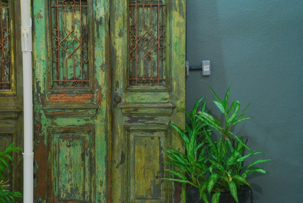 Gaia * Rio de Janeiro